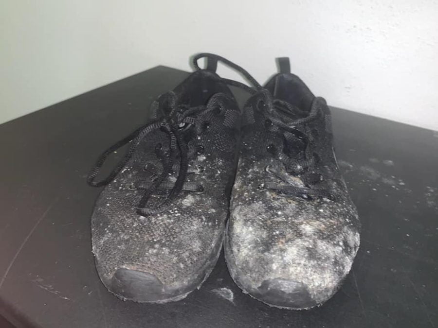 genesis apartments mold shoes