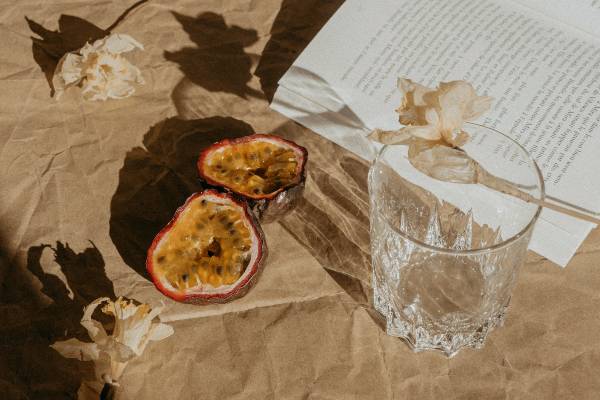 Open book and fruit on picnic blanket