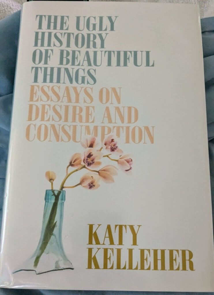 the ugly history of beautiful things an essay collection