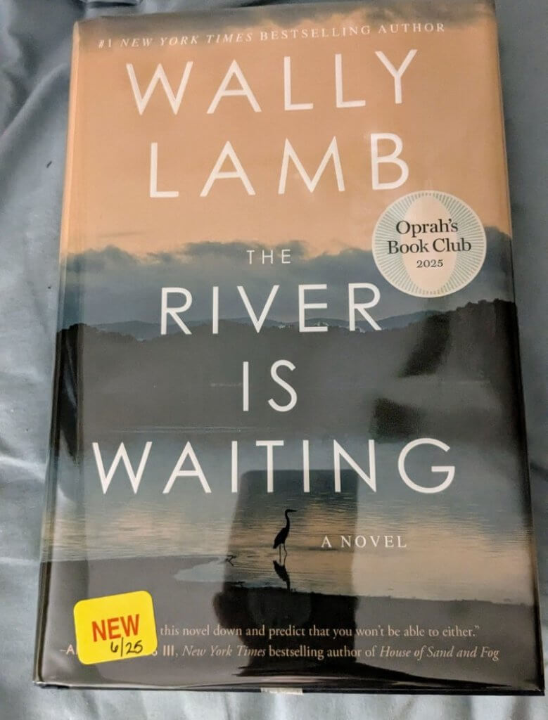 novel by wally lamb the river is waiting
