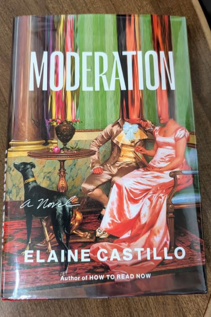novel titled moderation