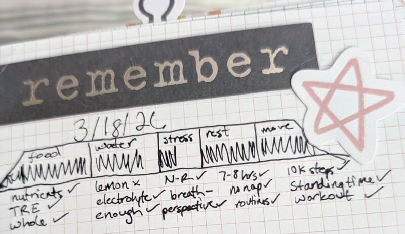 daily example of ish mom habit tracking