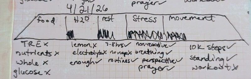 not so great example of daily habit tracking ish mom