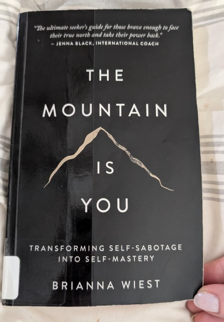 March 2026 Bite Size Book Reviews 7 self help book called the mountain is you