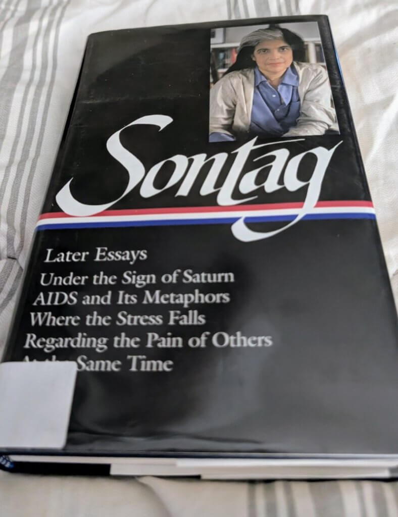 June 2026 Bite Size Book Reviews 5 a collection of susan sontag later essays
