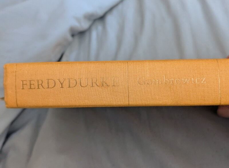 August 2026 Bite Size Book Reviews 3 famous polish book ferdyduke